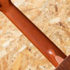KoAloha KTM-D6 D-VI Tenor 6 Strings 2011_7