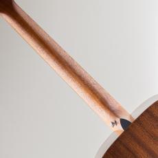 Martin D-10E Retro_7