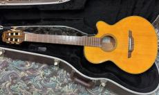 Takamine  NPT-110BN タカミネ　エレガット　NPT110BN 