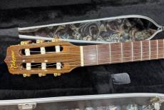 Takamine  NPT-110BN タカミネ　エレガット　NPT110BN _3