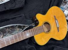 Takamine  NPT-110BN タカミネ　エレガット　NPT110BN _4