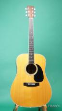Martin D-35_2