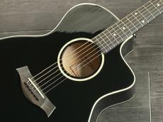 Taylor 214ce_3