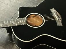 Taylor 214ce_7