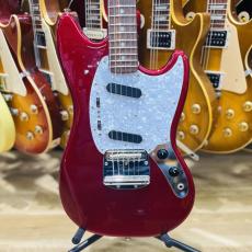 Fender Japan MG69_5
