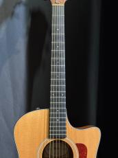 Taylor 416 CE LTD_5