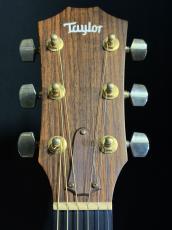 Taylor 416 CE LTD_6