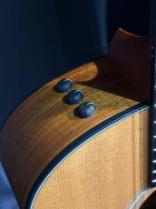 Taylor 416 CE LTD_7