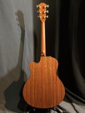 Taylor 416 CE LTD_9