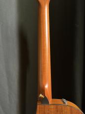 Taylor 416 CE LTD_10