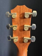 Taylor 416 CE LTD_11