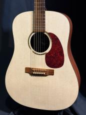 Martin DXM_2