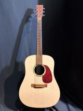 Martin DXM_3