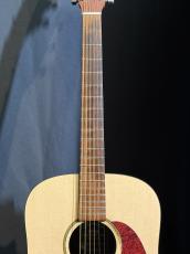Martin DXM_4