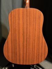 Martin DXM_6