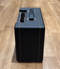 VOX PATHFINDER 10_5