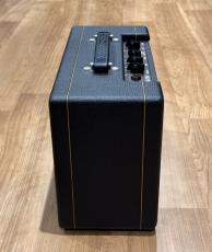 VOX PATHFINDER 10_6