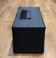 ENGL SAVAGE60_5