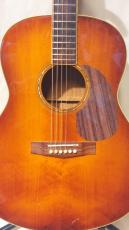 Ibanez AW601_2