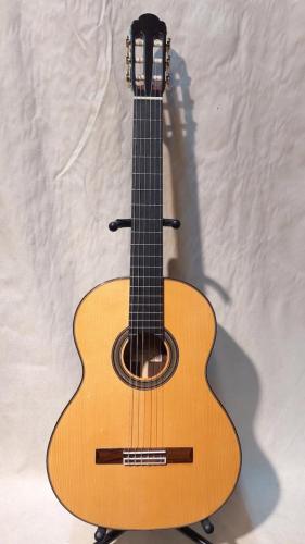 ARIA A-50S