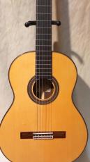 ARIA A-50S_2