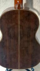 ARIA A-50S_4