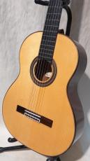ARIA A-50S_5