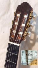 ARIA A-50S_6