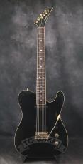 FERNANDES TE-180EX_2