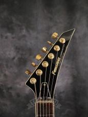 FERNANDES TE-180EX_3