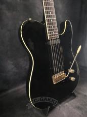 FERNANDES TE-180EX_4