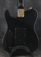 FERNANDES TE-180EX_5
