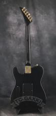 FERNANDES TE-180EX_6