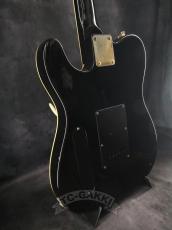 FERNANDES TE-180EX_7