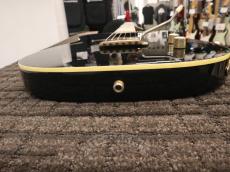 FERNANDES TE-180EX_10