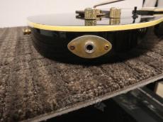 FERNANDES TE-180EX_11