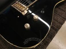 FERNANDES TE-180EX_13