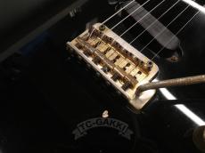 FERNANDES TE-180EX_14