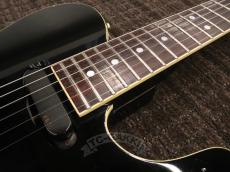 FERNANDES TE-180EX_15