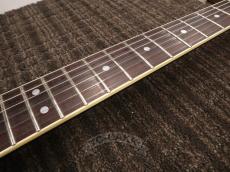FERNANDES TE-180EX_16