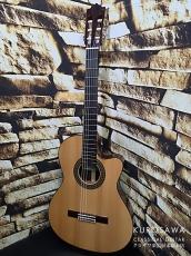 Paco Castillo パコ・カスティージョ 234TE Narrow Neck 松・ローズウッド【日本総本店2F在庫品】