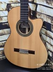 Paco Castillo パコ・カスティージョ 234TE Narrow Neck 松・ローズウッド【日本総本店2F在庫品】_2
