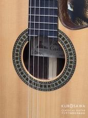 Paco Castillo パコ・カスティージョ 234TE Narrow Neck 松・ローズウッド【日本総本店2F在庫品】_3