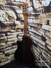 Paco Castillo パコ・カスティージョ 234TE Narrow Neck 松・ローズウッド【日本総本店2F在庫品】_6