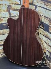 Paco Castillo パコ・カスティージョ 234TE Narrow Neck 松・ローズウッド【日本総本店2F在庫品】_7