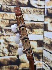 Paco Castillo パコ・カスティージョ 234TE Narrow Neck 松・ローズウッド【日本総本店2F在庫品】_8