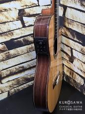 Paco Castillo パコ・カスティージョ 234TE Narrow Neck 松・ローズウッド【日本総本店2F在庫品】_10
