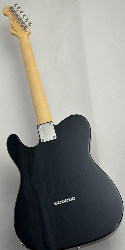 FUJIGEN Neo Classic Series NTE100RAL-BK ~Black~ 3.56kg #H230153