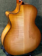 Taylor 【New Model!!】614ce Next Generation -Antique Blonde- #1204306076【Claria™搭載】_6