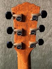 Taylor 【Hand Selected】BTO Custom Gold Label SA Quote #C0924 -AA Grade Hawaiian Koa- #1202196089_5